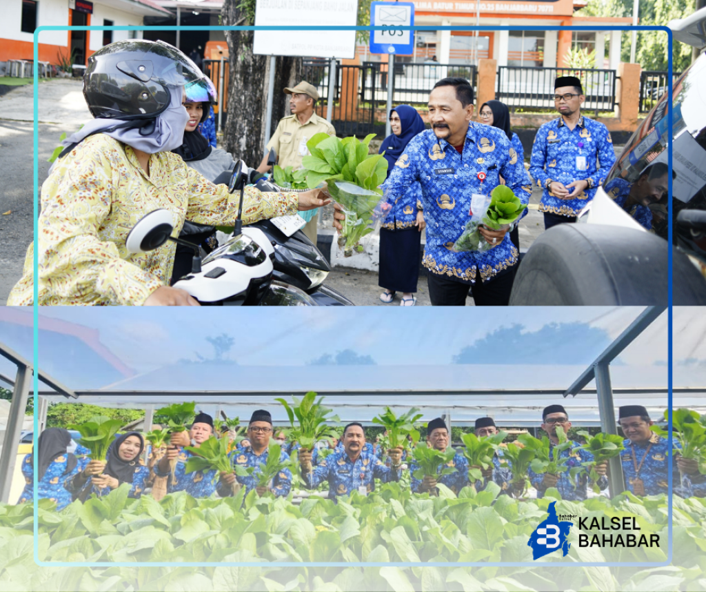 Wujud Nyata ketahanan pangan Dinas PKP Prov Kalsel Panen Sayur Hidroponik dan Bagikan langsung kepada Masyarakat